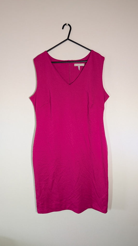 Anthology Women's Dress - Pink - Size 16