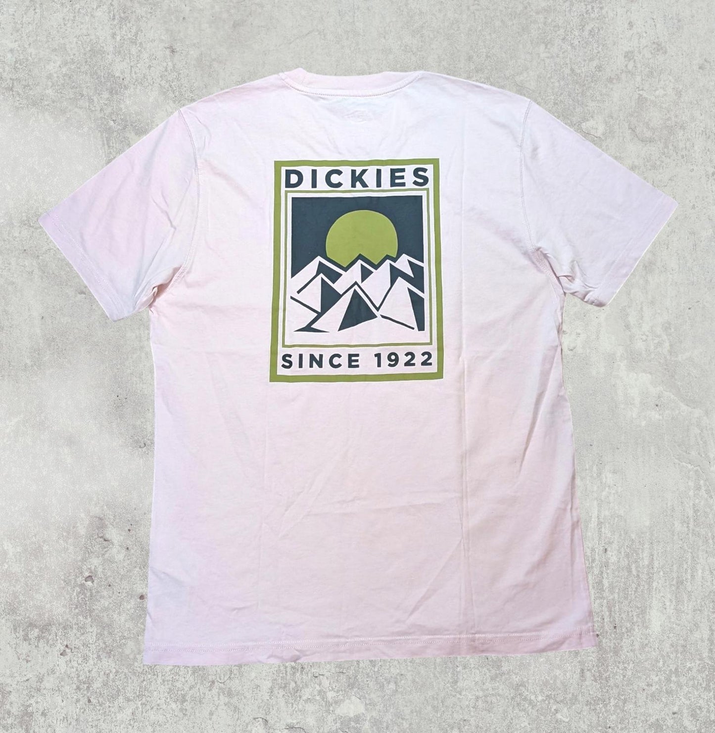 Dickies Men's T Shirt - Pink - Size Small